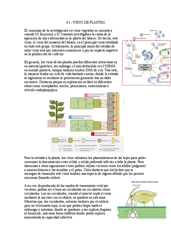 Miniatura del documento 4.1.-Virus-de-plantas.pdf