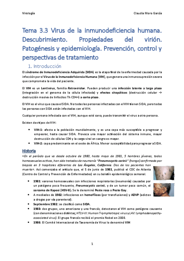 Miniatura del documento Tema-3.3.pdf