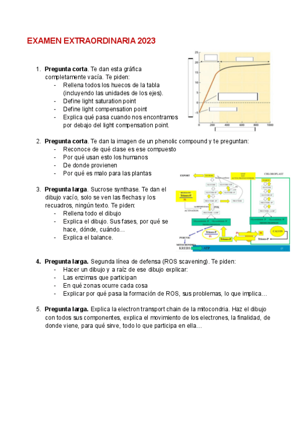 Miniatura del documento Examen-extraordinaria-2023.pdf