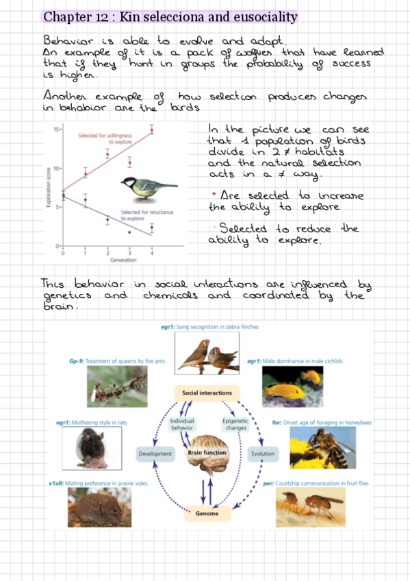 Miniatura del documento Chapter-12-ingles.pdf