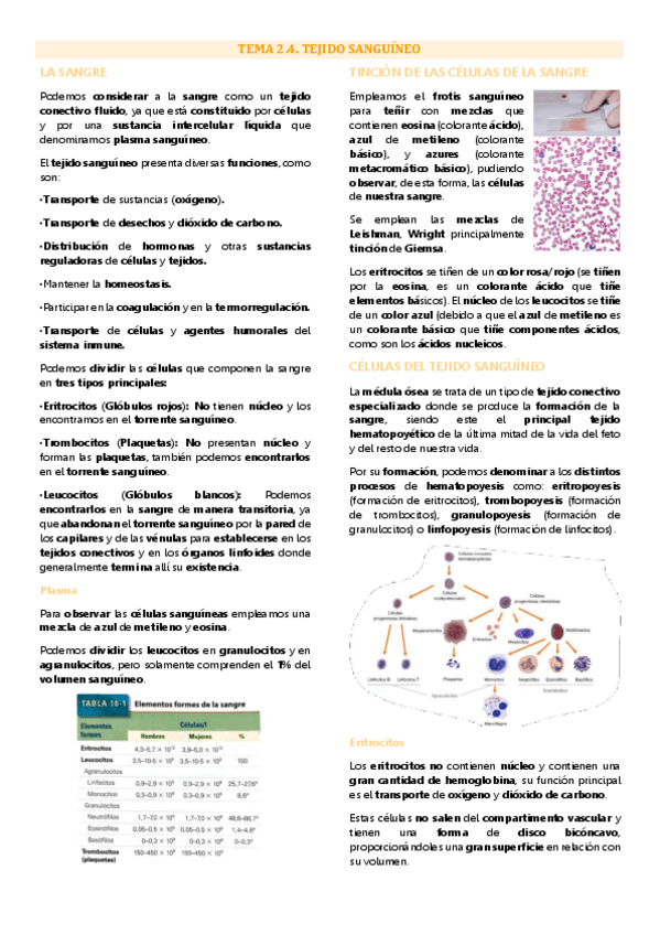 Miniatura del documento Tema 4 biología tisular, Tejido sanguíneo.pdf