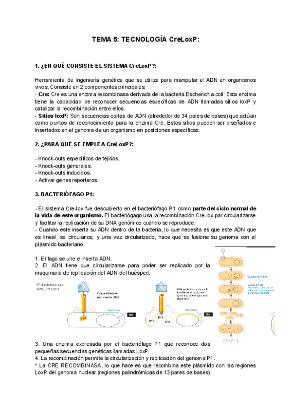 Miniatura del documento TEMA-5-TECNOLOGIA-CreLoxP.pdf