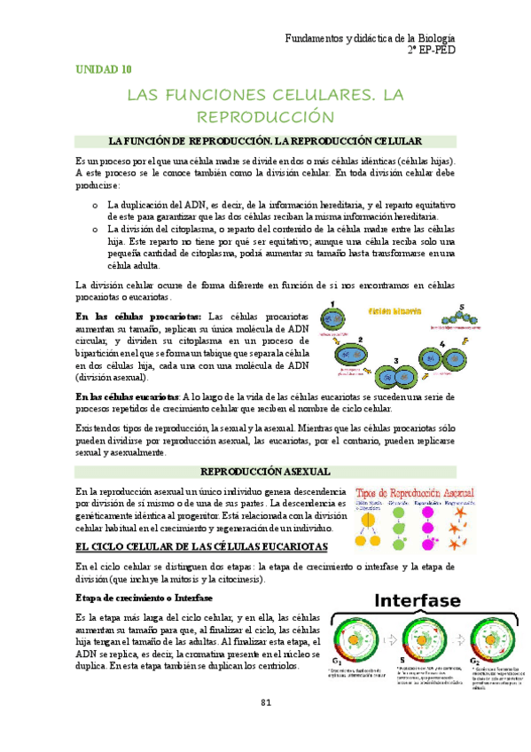 Miniatura del documento unidad-10-bio.pdf