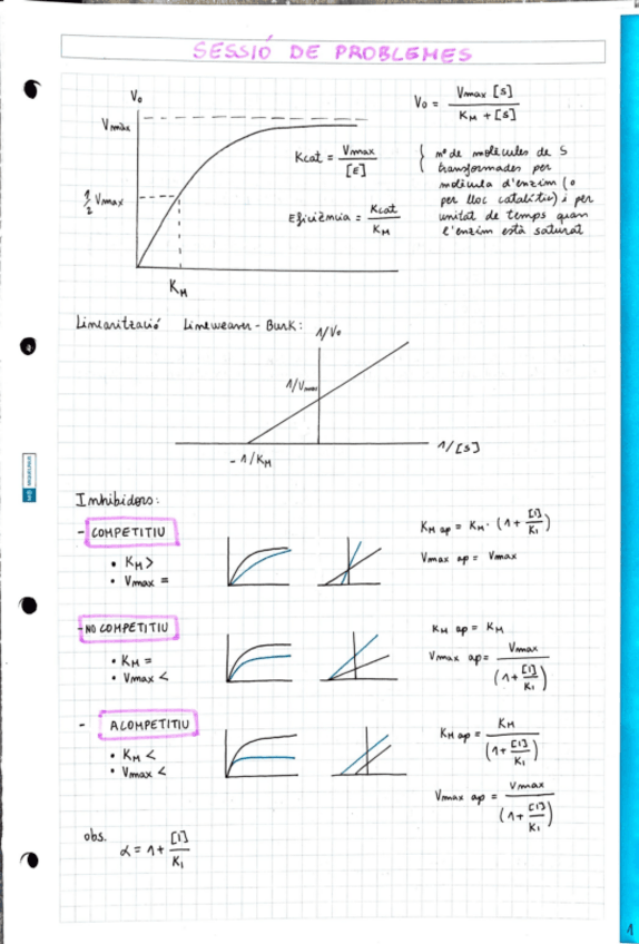 Miniatura del documento sessio-de-problemes-bioquimica.pdf