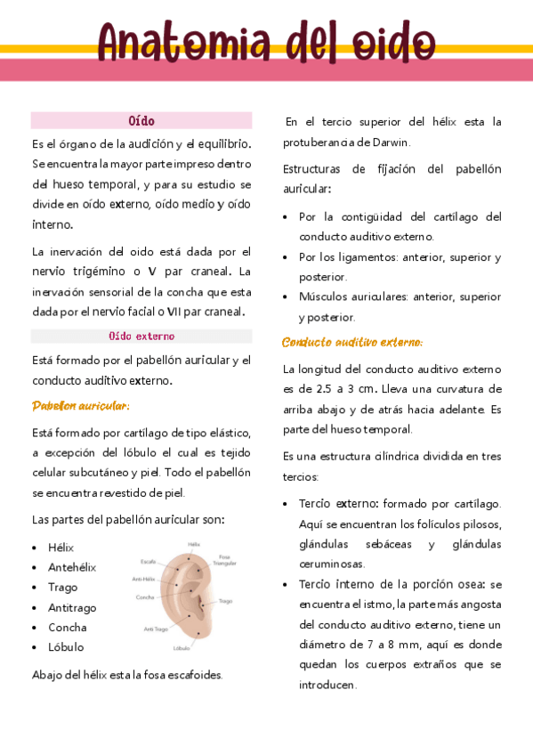 Miniatura del documento N3-ANATOMIA-CLINICA-BASICA-DE-OIDO.pdf