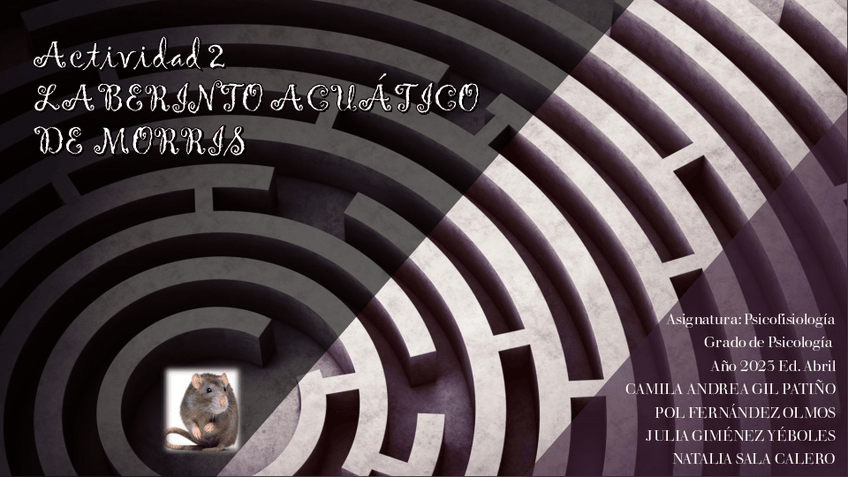 Miniatura del documento Actividad-2-LABERINTO-ACUATICO-DE-MORRIS.pdf