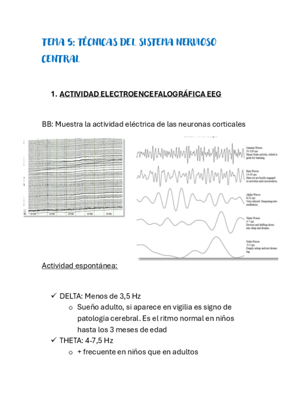 Miniatura del documento Tema-5.pdf
