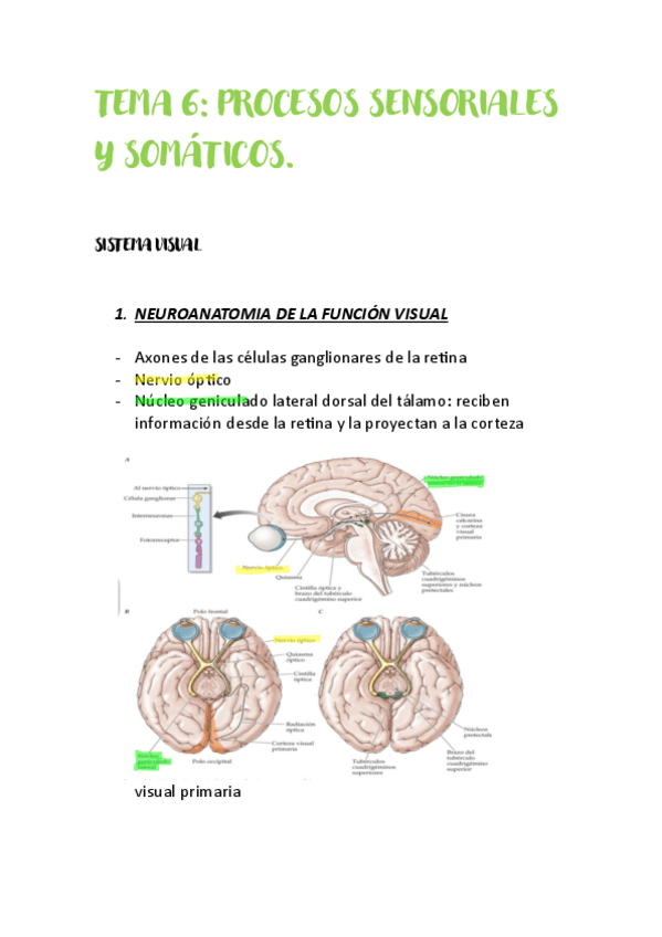 Miniatura del documento Tema-6.pdf