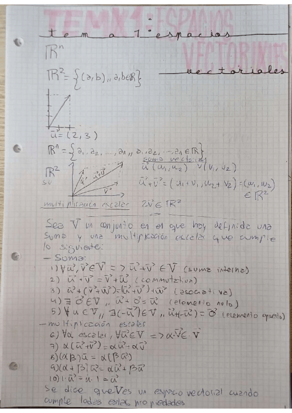 Miniatura del documento TEMA-1-ESPACIOS-VECTORIALES.pdf