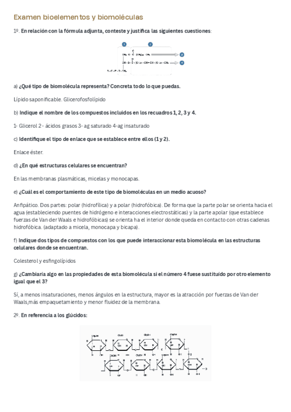 Miniatura del documento Examen-bioelementos-y-biomoleculas-2.pdf