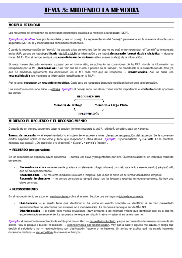 Miniatura del documento Tema-5-Midiendo-la-memoria.pdf