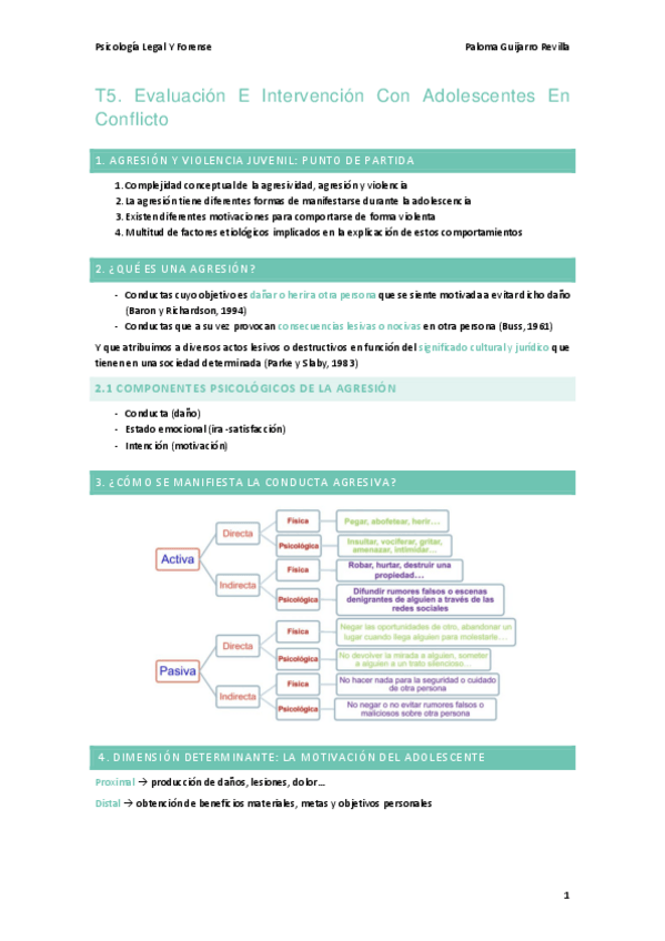 Miniatura del documento T5.-Evaluacion-E-Intervencion-Con-Adolescentes-En-Conflicto.pdf