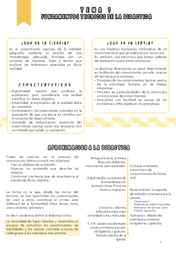 Miniatura del documento DIDACTICA-TEMA-1.pdf