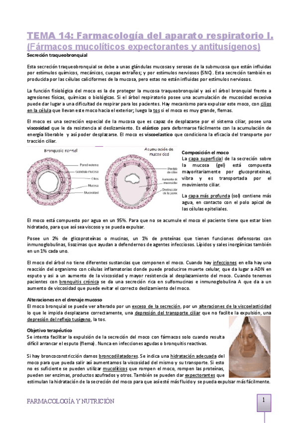 Miniatura del documento TEMA-14-respiratorio-1.pdf