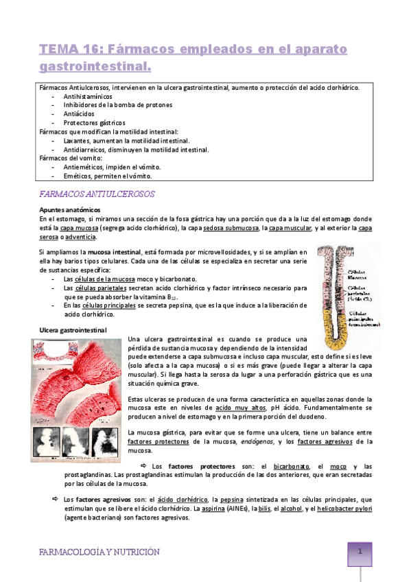 Miniatura del documento TEMA-16-digestivo.pdf