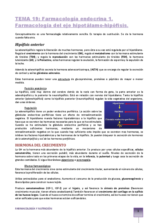 Miniatura del documento TEMA-19-sistema-endocrino-1.pdf