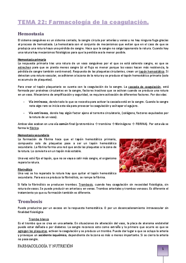 Miniatura del documento TEMA-22-coagulacion.pdf