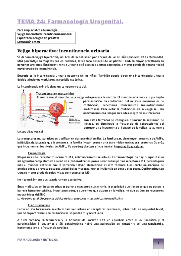 Miniatura del documento TEMA-24-farmacologia-urogenital.pdf