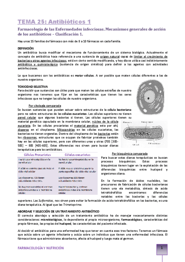 Miniatura del documento TEMA-25-Antibioticos-1.pdf