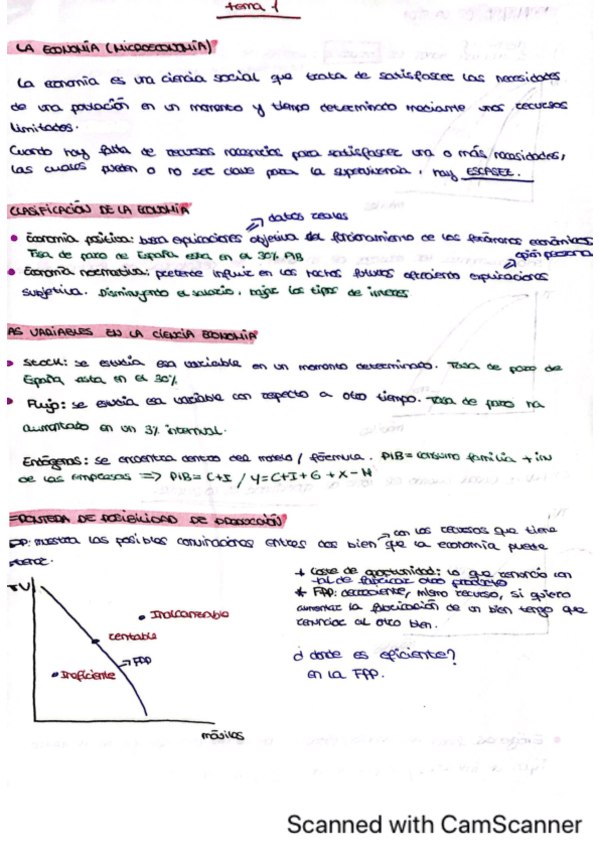 Miniatura del documento Apuntes-Economia-temas-1-9.pdf