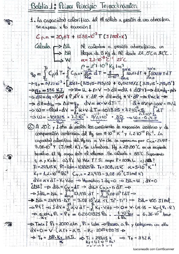 Miniatura del documento Boletin-1.pdf