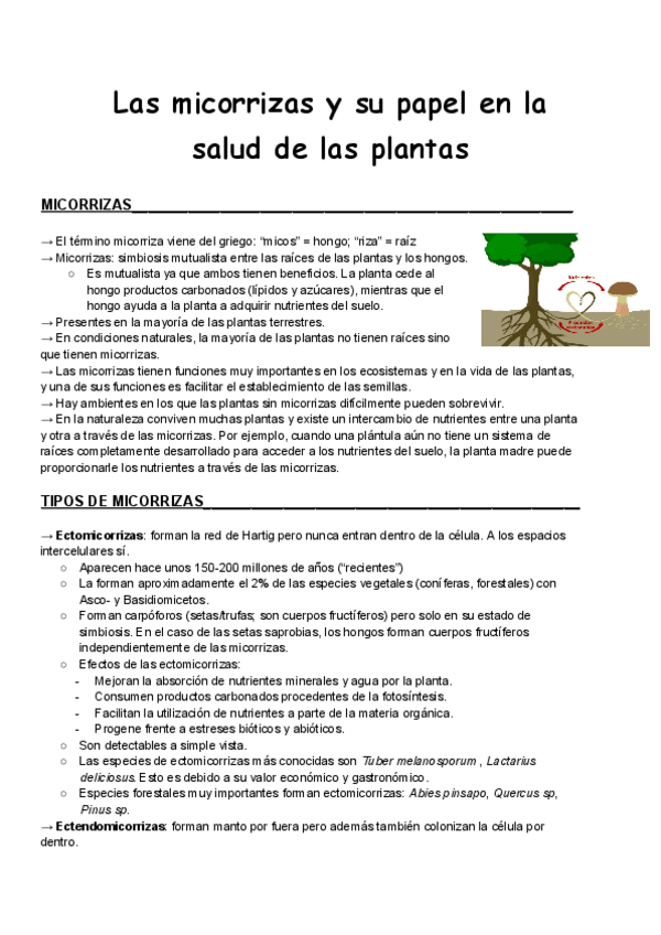 Miniatura del documento Seminario-1-Las-micorrizas.pdf