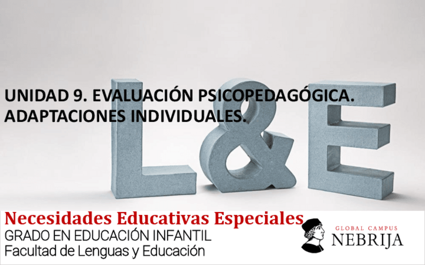 Miniatura del documento NEE-Clase-Unidad-9-y-10.pdf