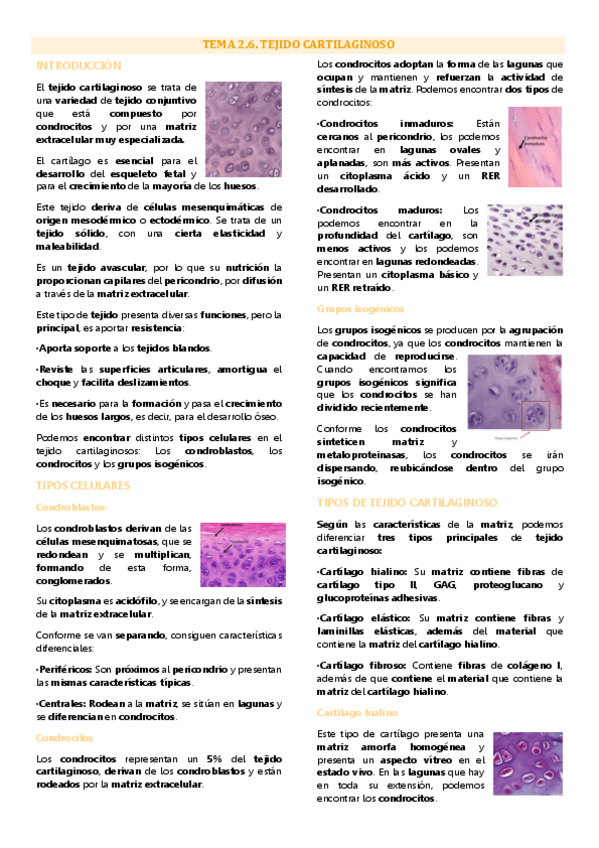 Miniatura del documento Tema 6 biología tisular, Tejido cartilaginoso.pdf