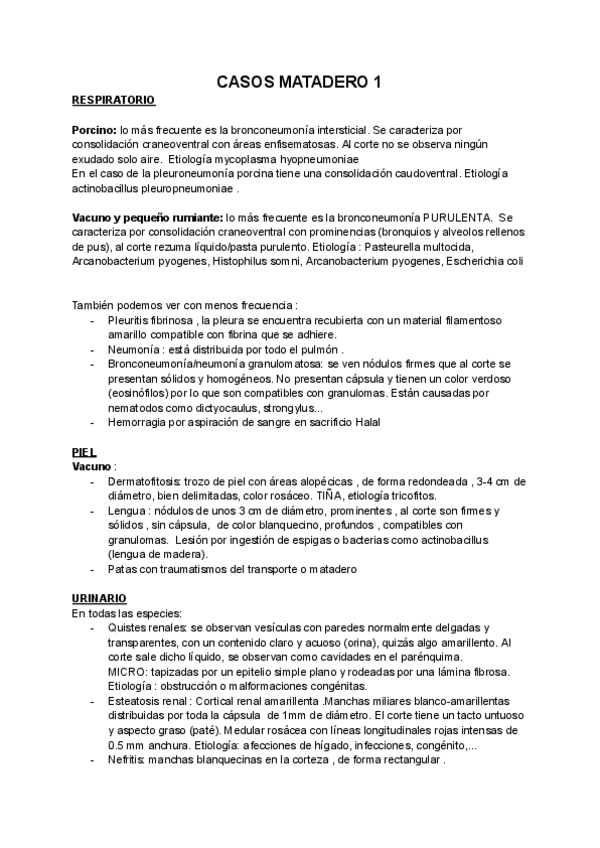 Miniatura del documento Practicas-de-matadero.pdf