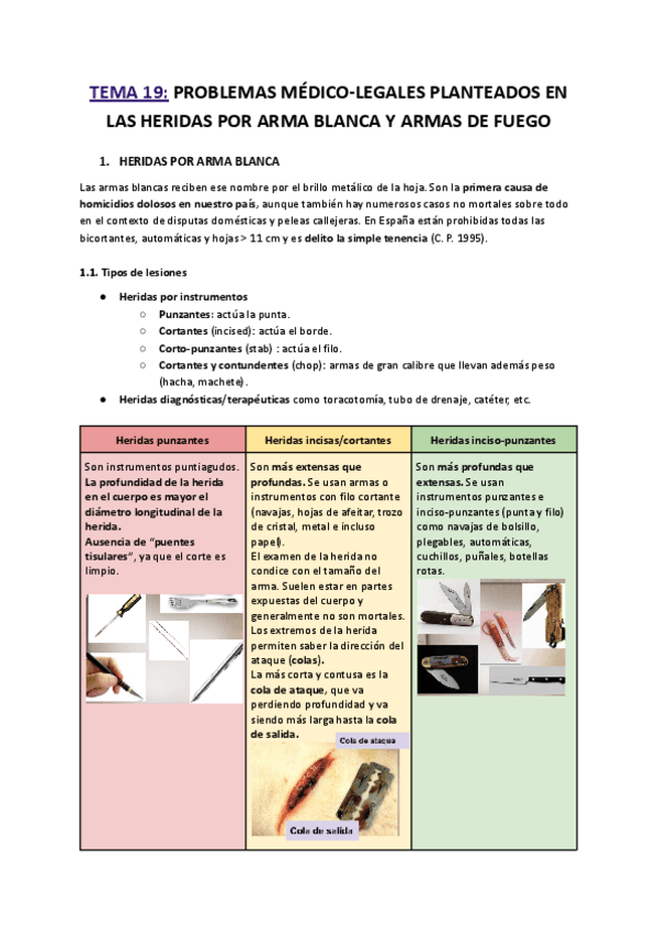 Miniatura del documento T19.-PROBLEMAS-MEDICO-LEGALES-PLANTEADOS-EN-LAS-HERIDAS-POR-ARMA-BLANCA-Y-ARMAS-DE-FUEGO.pdf