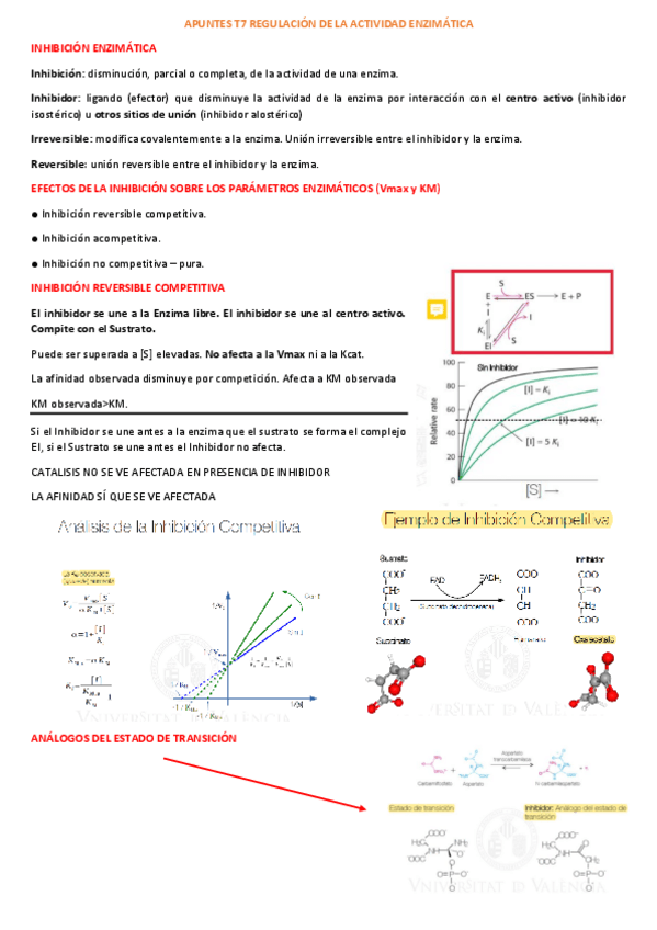 Miniatura del documento APUNTES-T7.pdf