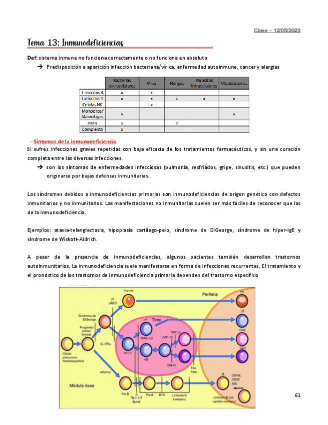 Miniatura del documento TEMA-13-INMUNO.pdf