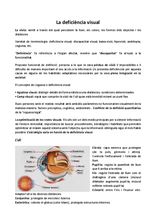 Miniatura del documento MP04ApuntsDeficienciaVisual.docx.pdf