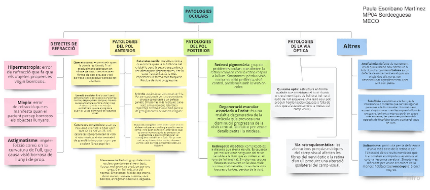 Miniatura del documento MP04PatologiesOcularsMapa.pdf