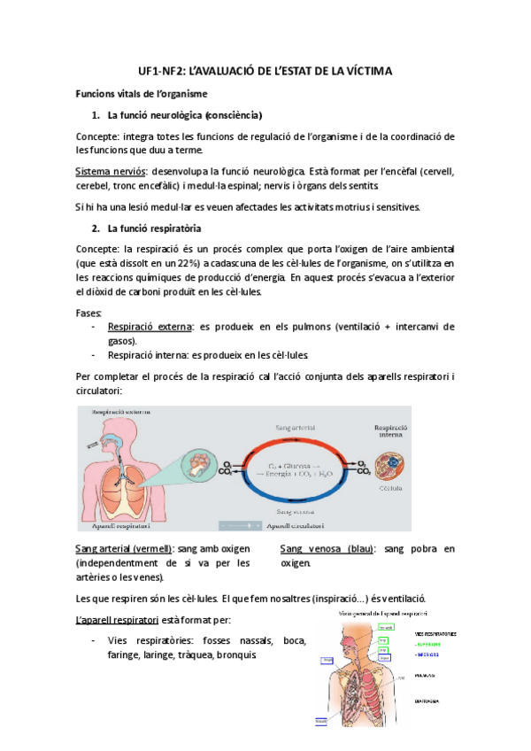 Miniatura del documento MP11ApuntsUF1NF2.pdf