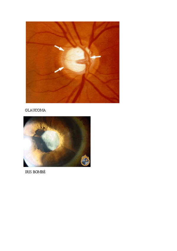 Miniatura del documento imagenes-2013.doc.pdf