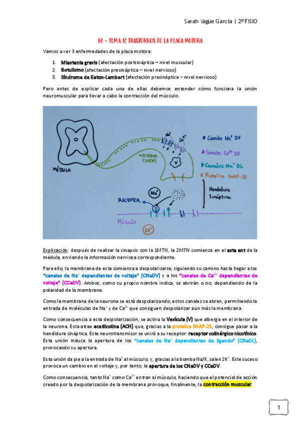 Miniatura del documento Afecciones-MQ-I-B4.-Tema-12-Trastornos-de-la-Placa-Motora.pdf