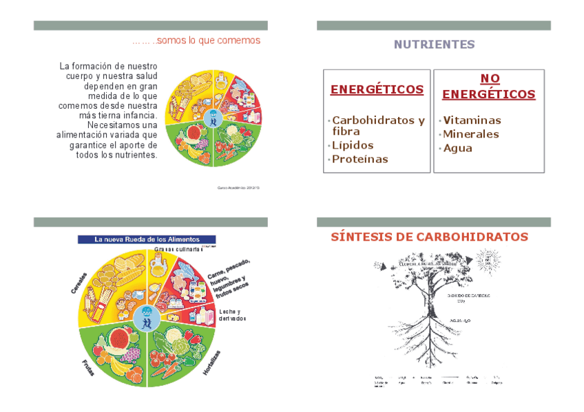 Miniatura del documento 01.-Nutrientes-y-Alimentos-imprimir.pdf