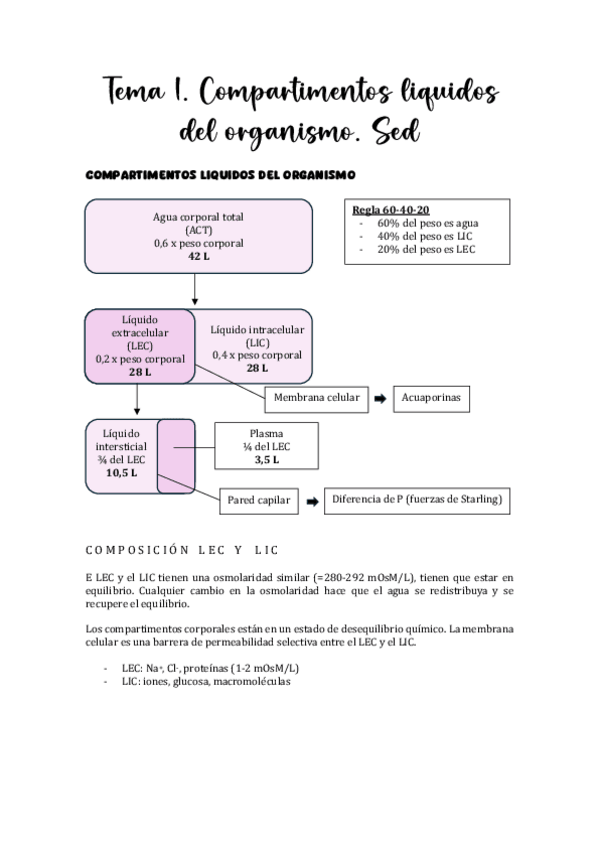 Miniatura del documento Tema-1.-Compartimentos-liquidos-del-organismo.-Sed.pdf
