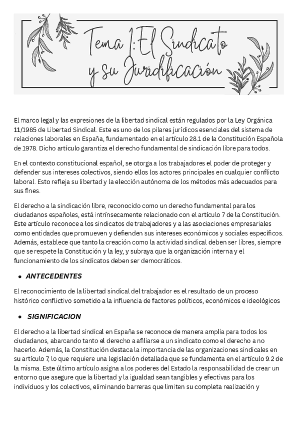 Miniatura del documento TEMA-1-DERECHO-SINDICAL.pdf