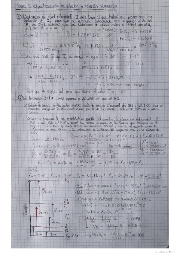 Miniatura del documento Boletin-3.pdf