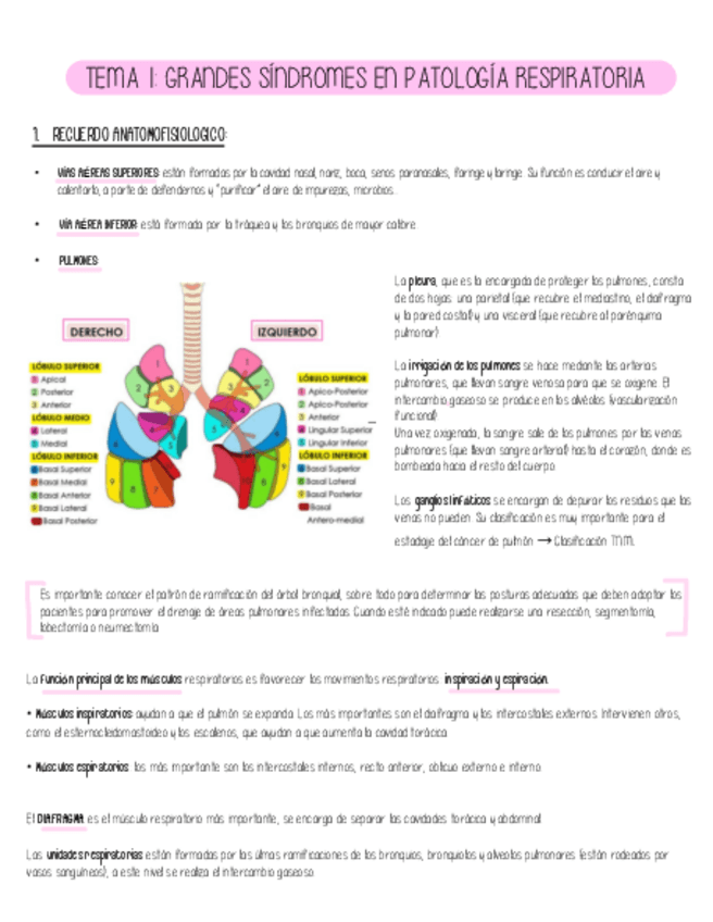 Miniatura del documento Tema-1-AMQ-III.pdf
