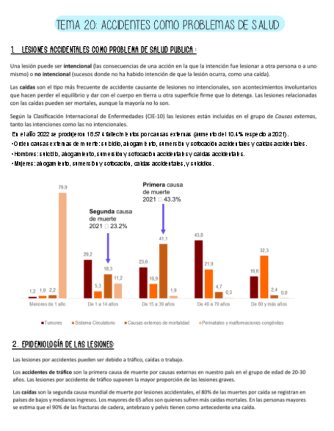 Miniatura del documento Tema-20-Salud-Publica.pdf
