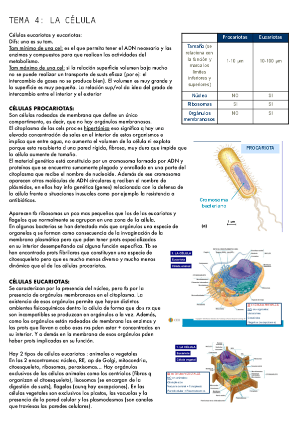 Miniatura del documento tema4_BIO.pdf