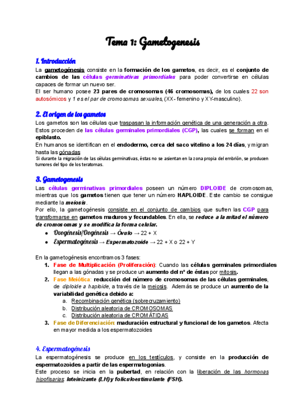 Miniatura del documento Tema-1-Gametogenesis.pdf