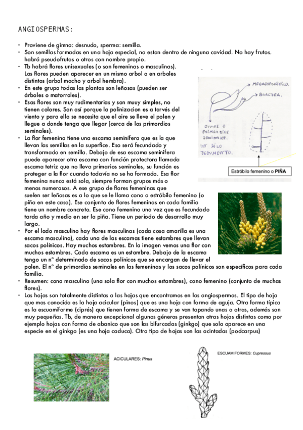Miniatura del documento tema3_BOTÁNICA.pdf