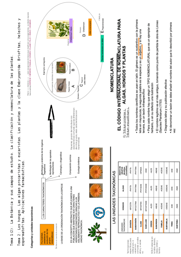 Miniatura del documento tema2_BOTÁNICA.pdf