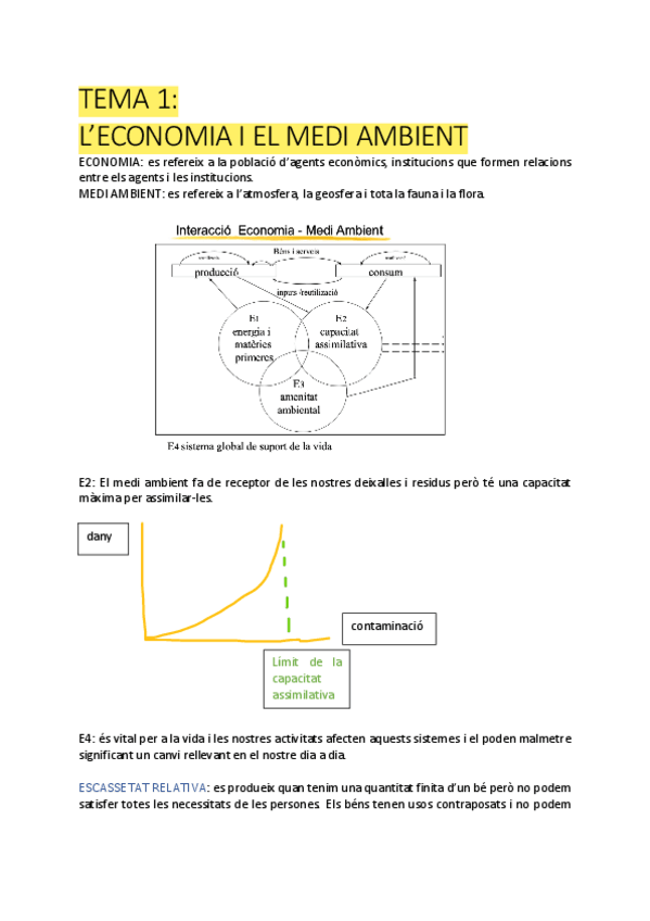 Miniatura del documento Apunts-Economia-del-Medi-Ambient.pdf