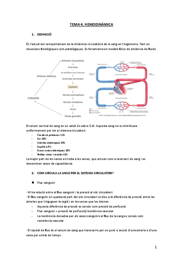 Miniatura del documento BLOC-1.-4.-Hemodinamica.pdf