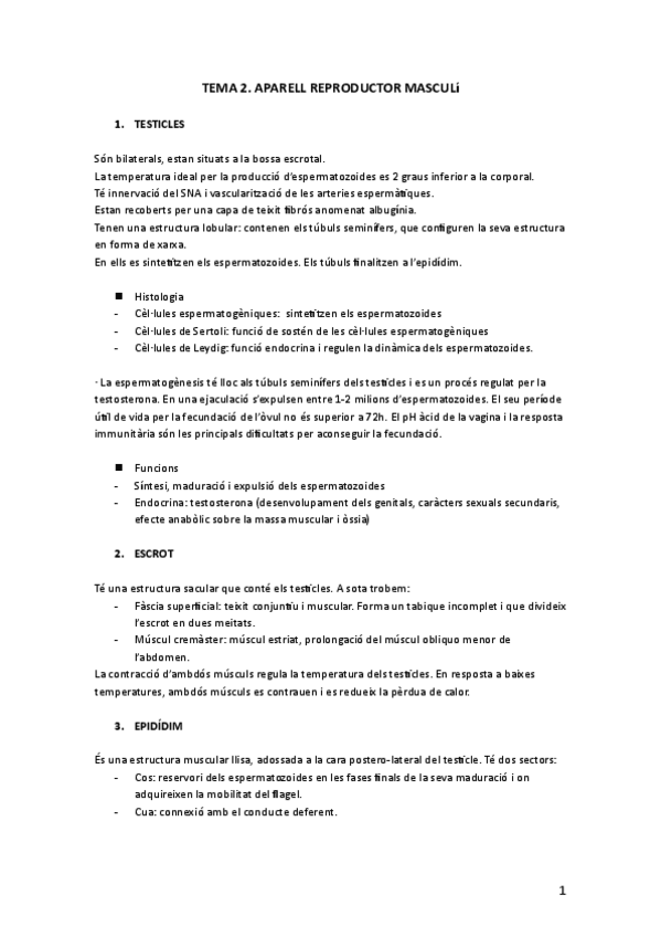 Miniatura del documento BLOC-3.-T2.-Aparell-reproductor-masculi.pdf